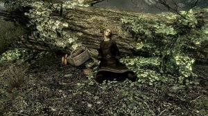 The Elder Scrolls V: Skyrim. Добыть кровь высокого эльфа. Прохождение от SAFa