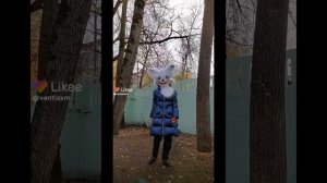 фурри, рапторы, скул доги из лайка (3 минуты и 52 секунды)