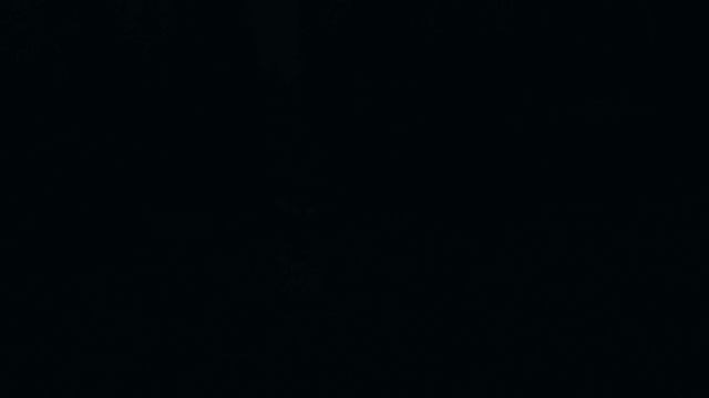 1000074409.mp4 смотреть онлайн