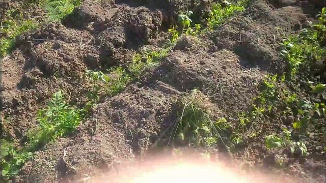 Моё хозяйство,мой огород и сад смотреть онлайн