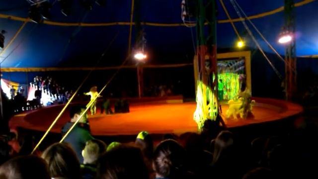 Московский Передвежной цирк-шапито 