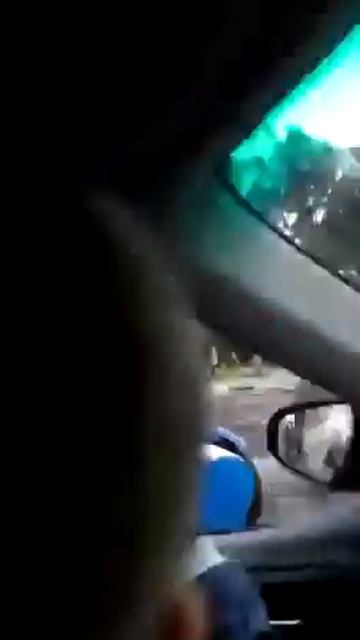 Прикол про медведя смотреть онлайн