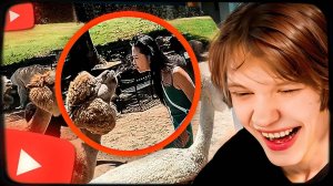 ДИПИНС СМОТРИТ: САМЫЕ СМЕШНЫЕ ВИДЕО С ЖИВОТНЫМИ В МИРЕ (ЧАСТЬ 1)