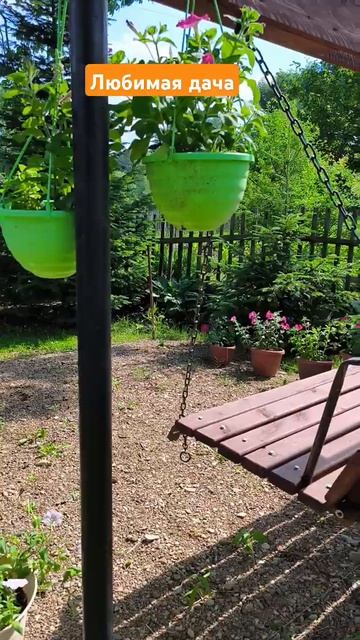 любимая дача. Арсеньев Приморский край. #любимаядача#и смотреть онлайн