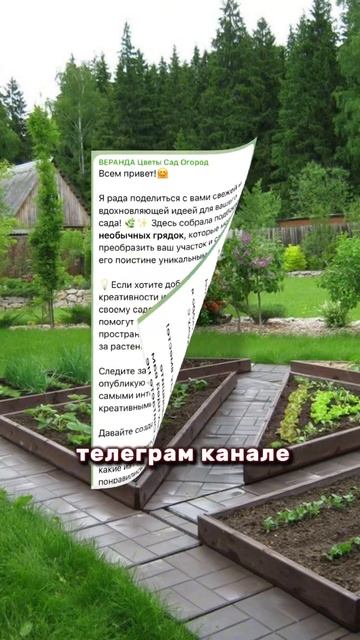 НЕОБЫЧНЫЕ ГРЯДКИ #огород #веранда #сад смотреть онлайн