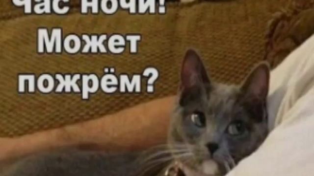 Прикольные мемы в вк смотреть онлайн