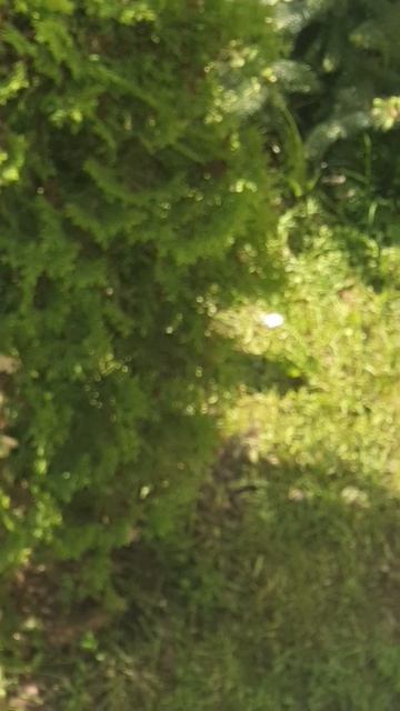 Сложная настройка на рисование смотреть онлайн