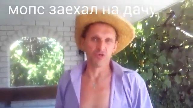 Мопс не Гребень освобожден смотреть онлайн