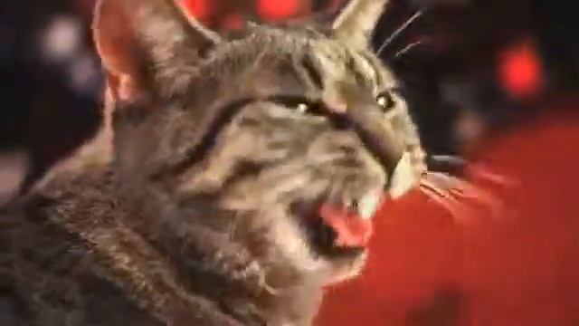 САМОЕ ПРИКОЛЬНОЕ ВИДЕО ХАХАХАХ! смотреть онлайн