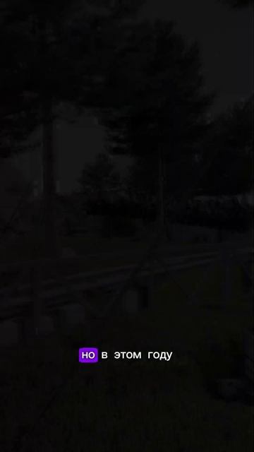 Шок-цена за самый дорогой отель в Крыму!!!😱#мечта#блог? смотреть онлайн