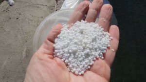 Кальциевая селитра, основное внесение