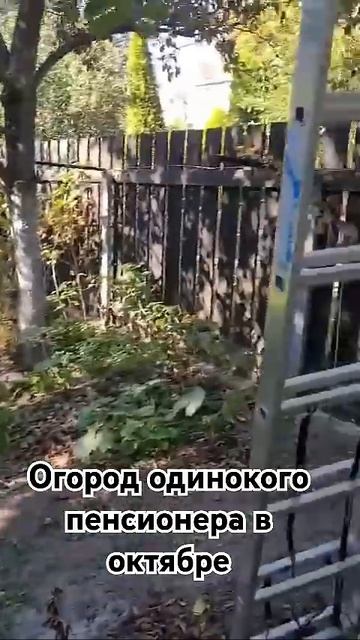 Беларусь, как живёт одинокий молодой пенсионер.#Белар? смотреть онлайн