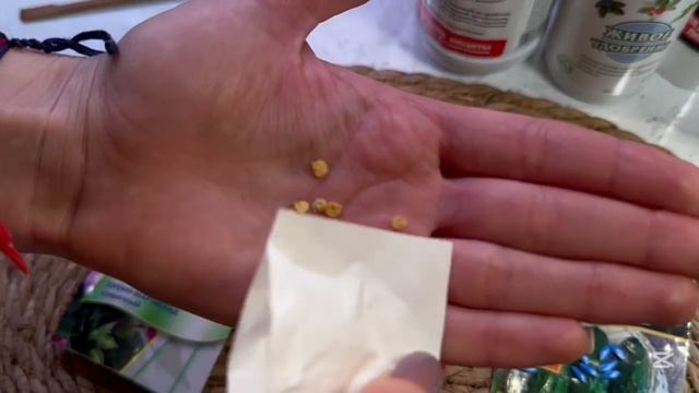 ЗАМАЧИВАНИЕ СЕМЯН - секрет всхожести семян и обильног? смотреть онлайн