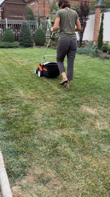 Як відновити газон #shorts