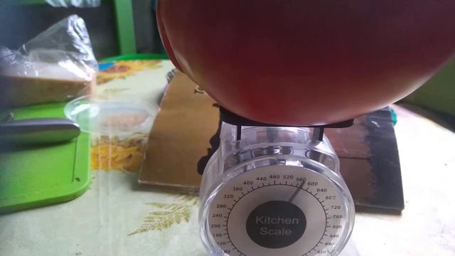 Розовый гигант смотреть онлайн