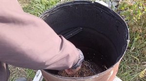 Как я копчу рыбу?  Горячее копчение карася.