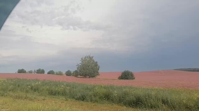 Красота по дороге на Алтай! смотреть онлайн