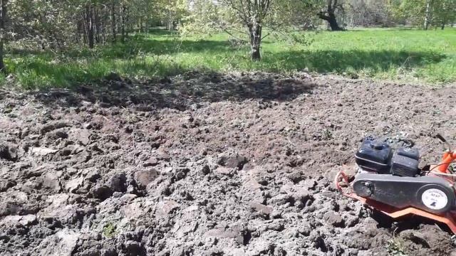 Вспашка + культивация + посадка картофеля (НЕПРЕДВИДЕН