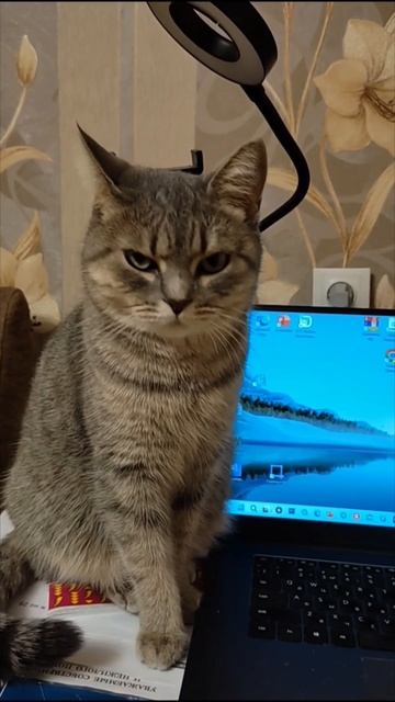 Ничего интересного в интернете, на меня смотри, я лучше, я красивая! смотреть онлайн