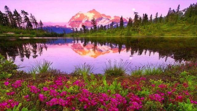 Идём и едем. Сергей Чекалин. Let's go and drive. Sergey Chekalin. смотреть онлайн