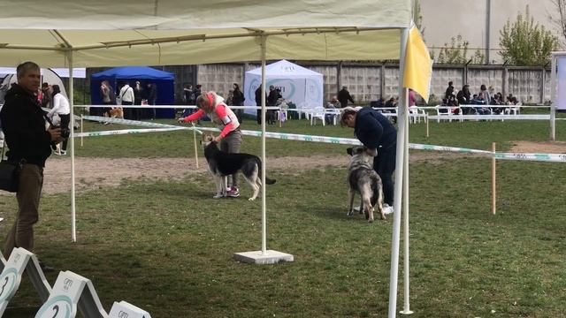 23 апреля 2017 г.