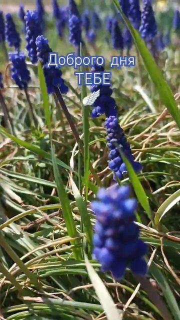 31 марта 2025 г. #shorts смотреть онлайн