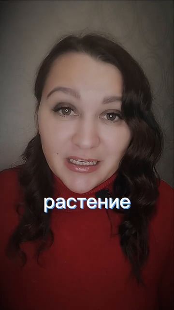 Надо ли подкармливать комнатные цветы зимой #musica #комн смотреть онлайн