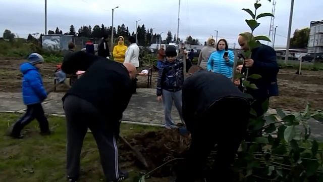 Акция "Наш лес. Посади свое дерево" 2016 смотреть онлайн