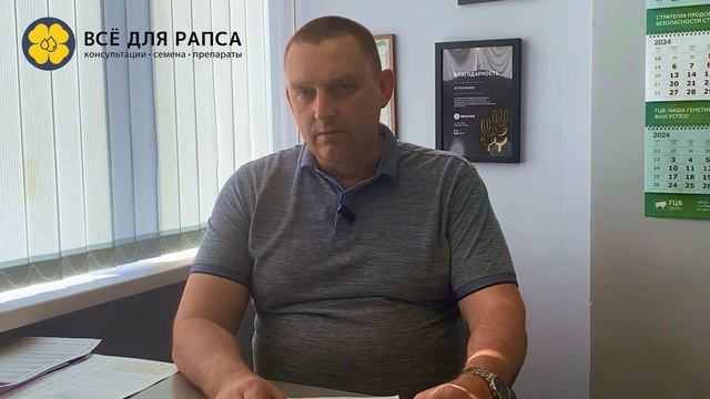 Как часто можно сеять рапс на одном и том же поле и поч? смотреть онлайн