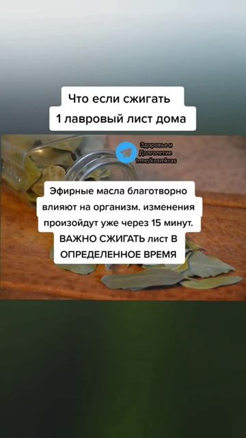 что если сжигать лавровый лист дома #здоровье #народна смотреть онлайн