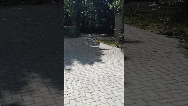 6 августа 2024 г.(1)