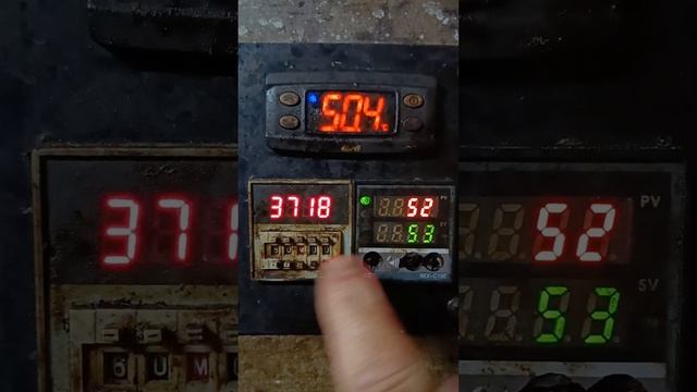 Горячее копчение рыбы #briskinder #всепро100 #лакомныйкусоче смотреть онлайн
