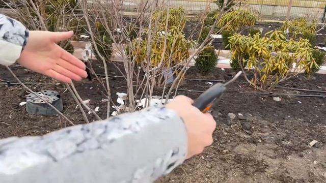 ИРГА ЛАМАРКА|стрижка ЗОНТ☂️😍