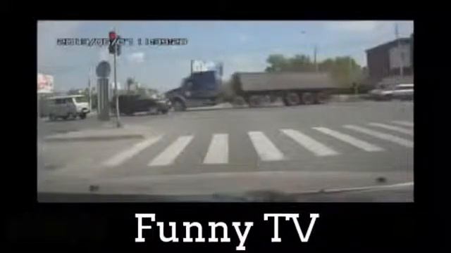 Приколы с животными. Приколы на дорогах смотреть онлайн