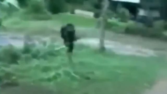 Прикол Самая смешная обезьяна Приколы про обезьян смотреть онлайн