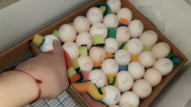 КУПИЛИ 🐄ВУ СЕНО🍀ЯЙЦО🐣бройлера РАСХОДСНИКИ для ДОЙ смотреть онлайн