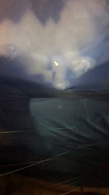 Как котёнок туда залез ? Киса придумал себе гамак ))Умн? смотреть онлайн