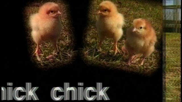 Baby смотреть онлайн