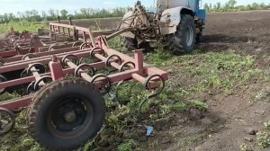 посевная 2025 культивация и сев подсолнечника