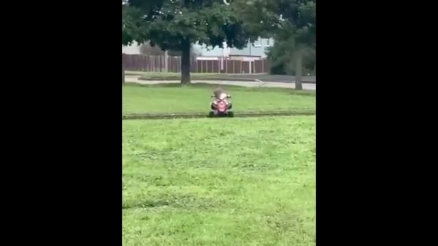 ЛУЧШИЕ ПРИКОЛЫ, ТОЛЬКО САМЫЕ СМЕШНЫЕ ВИДЕО, УЙМА СМЕХА, ПРАНКИ НАД ЛЮДЬМИ смотреть онлайн
