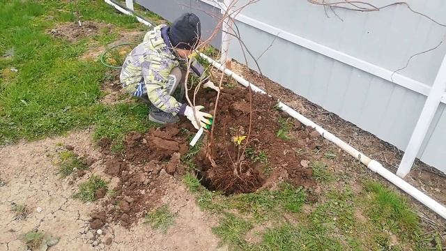 труд в природе смотреть онлайн