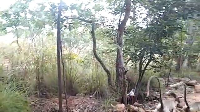 Тируваннамалай