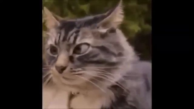 Подборка приколов (2016) #1 смотреть онлайн