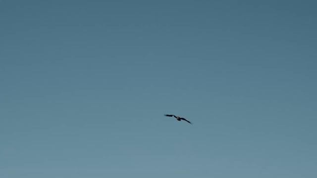 free to be... смотреть онлайн