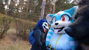 Фурри сходка в Челябинске