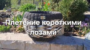 Плетение короткими лозами