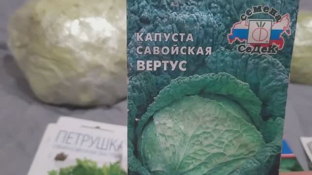 Лучшая капуста сезона 2023 года . смотреть онлайн