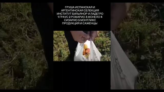 ФЕРМЕРСКОЕ ХОЗЯЙСТВО ПРОДУКЦИЯ И САЖЕНЦЫ ОПТ И РОЗНИЦ смотреть онлайн