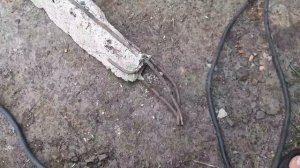 Как закрепить батут чтобы не улетел.