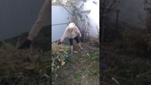 Убрала клумбу, собрала тыкву мускатную Арахисовое мас смотреть онлайн